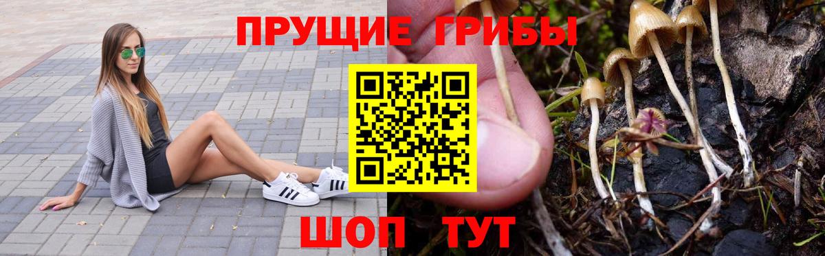 Псилоцибиновые грибы прущие грибы  Вход с VPN  Великий Устюг 